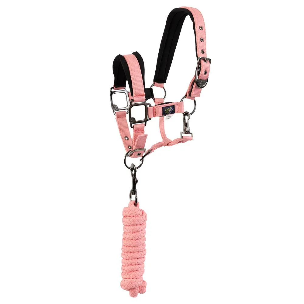 BR Mini Horse Halter Set