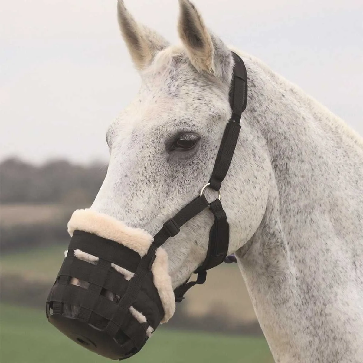 Shires Deluxe Grazing Muzzle