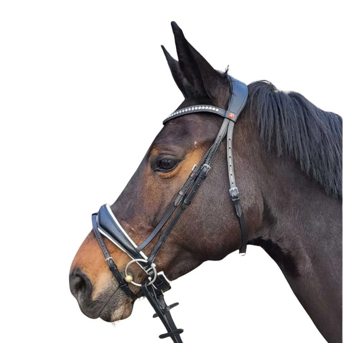 Rossner Catania Bridle