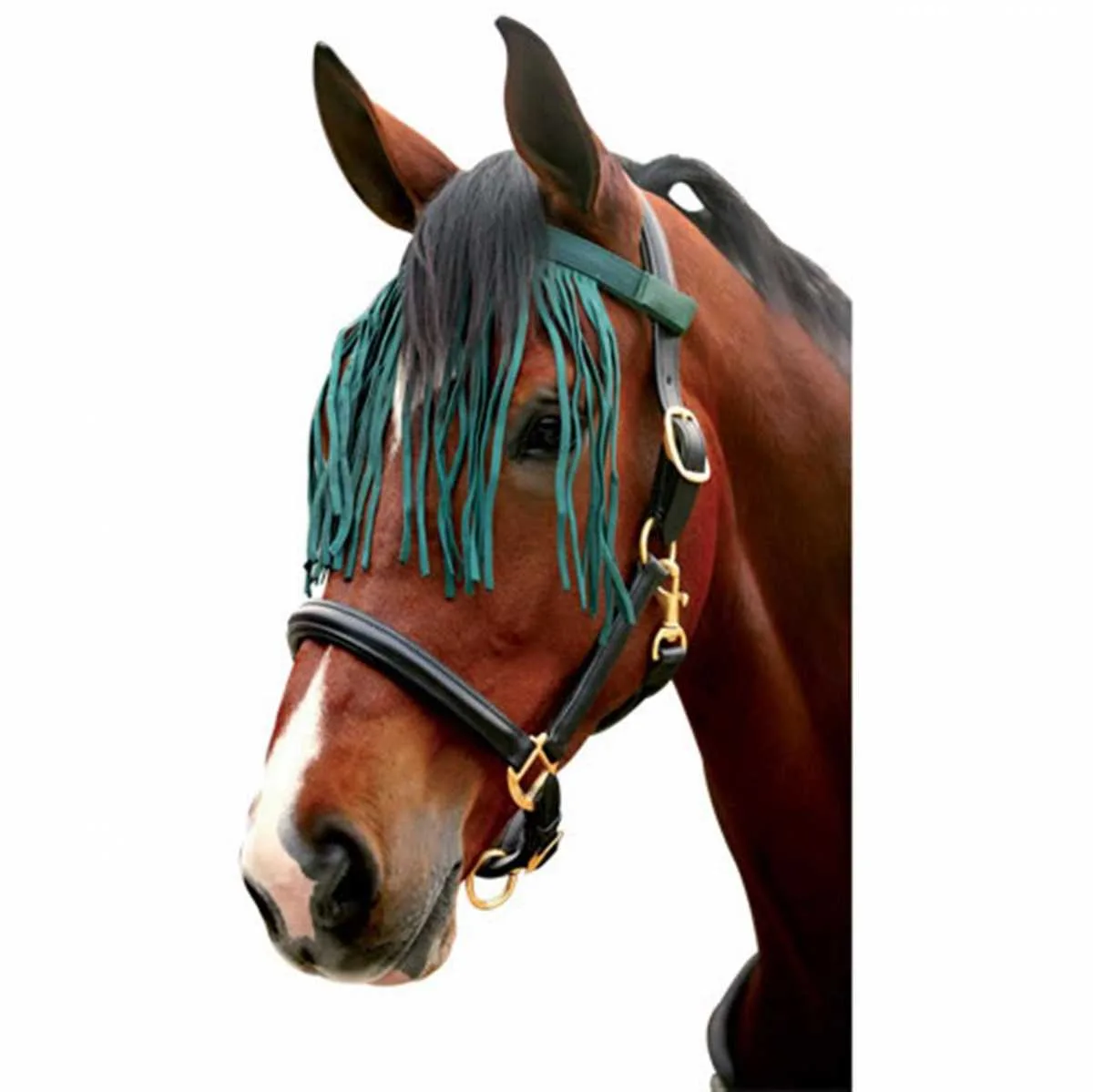 Pagony fly browband nylon