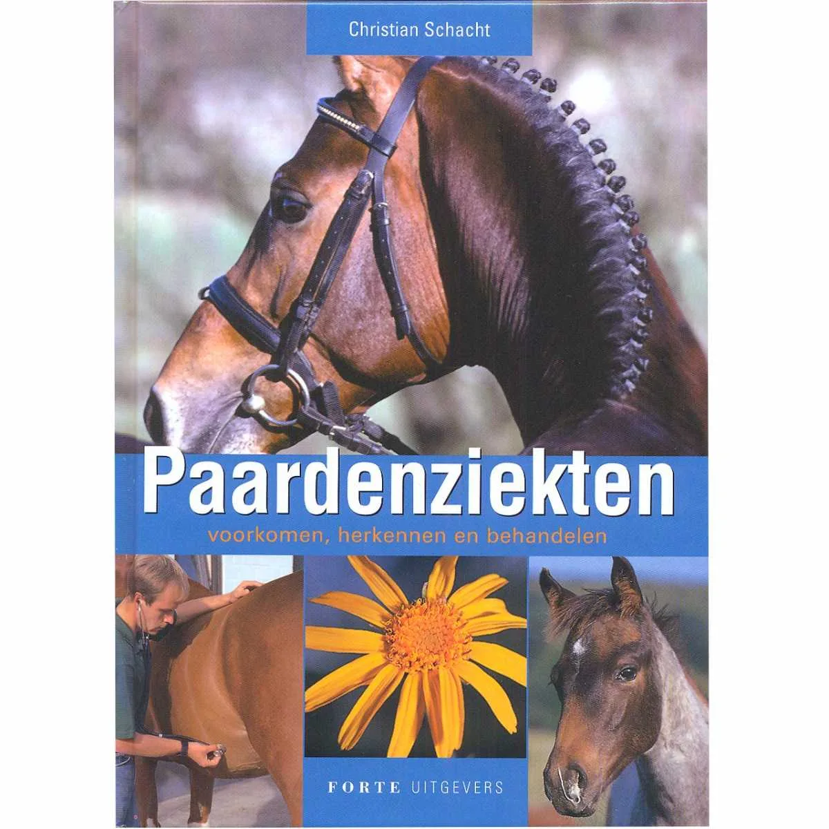 Horse diseases