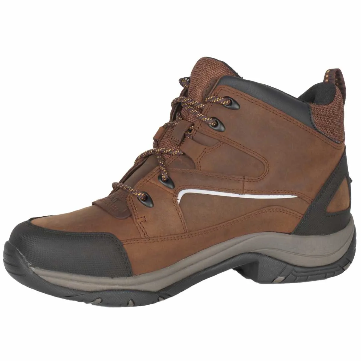 Ariat Telluride II H2o stable shoes men