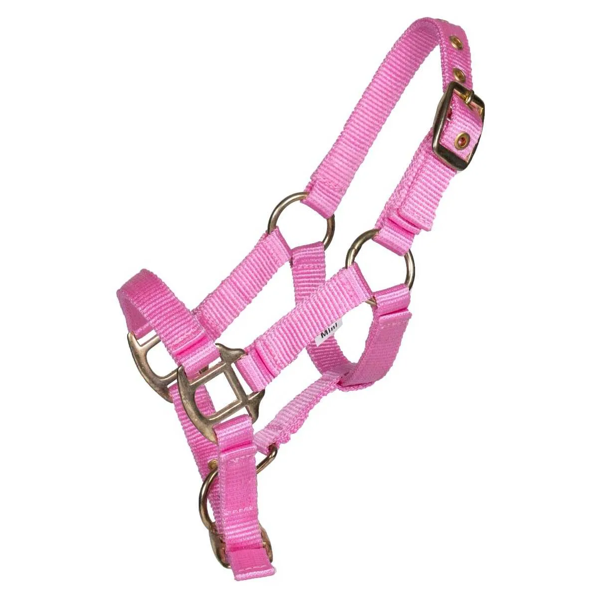 Pagony Lucky foal halter