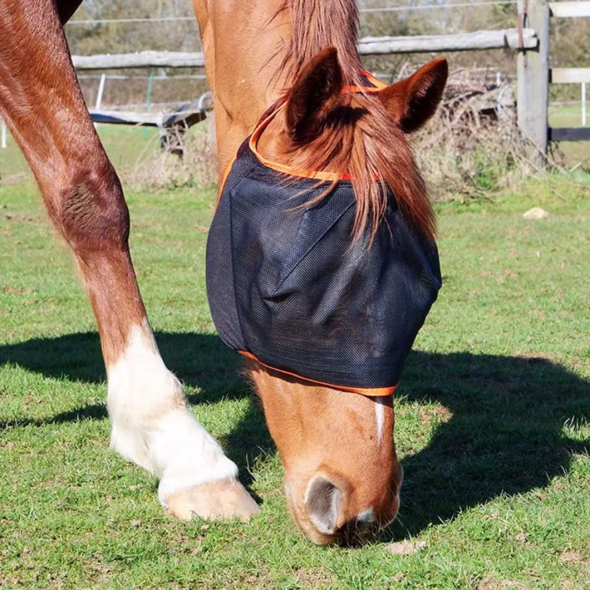 Field Relief Midi Fly Mask