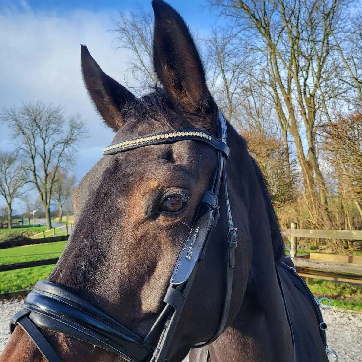 Rossner Blinkers