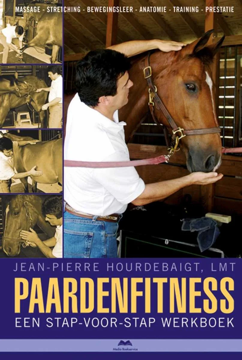 Horse fitness, step by step