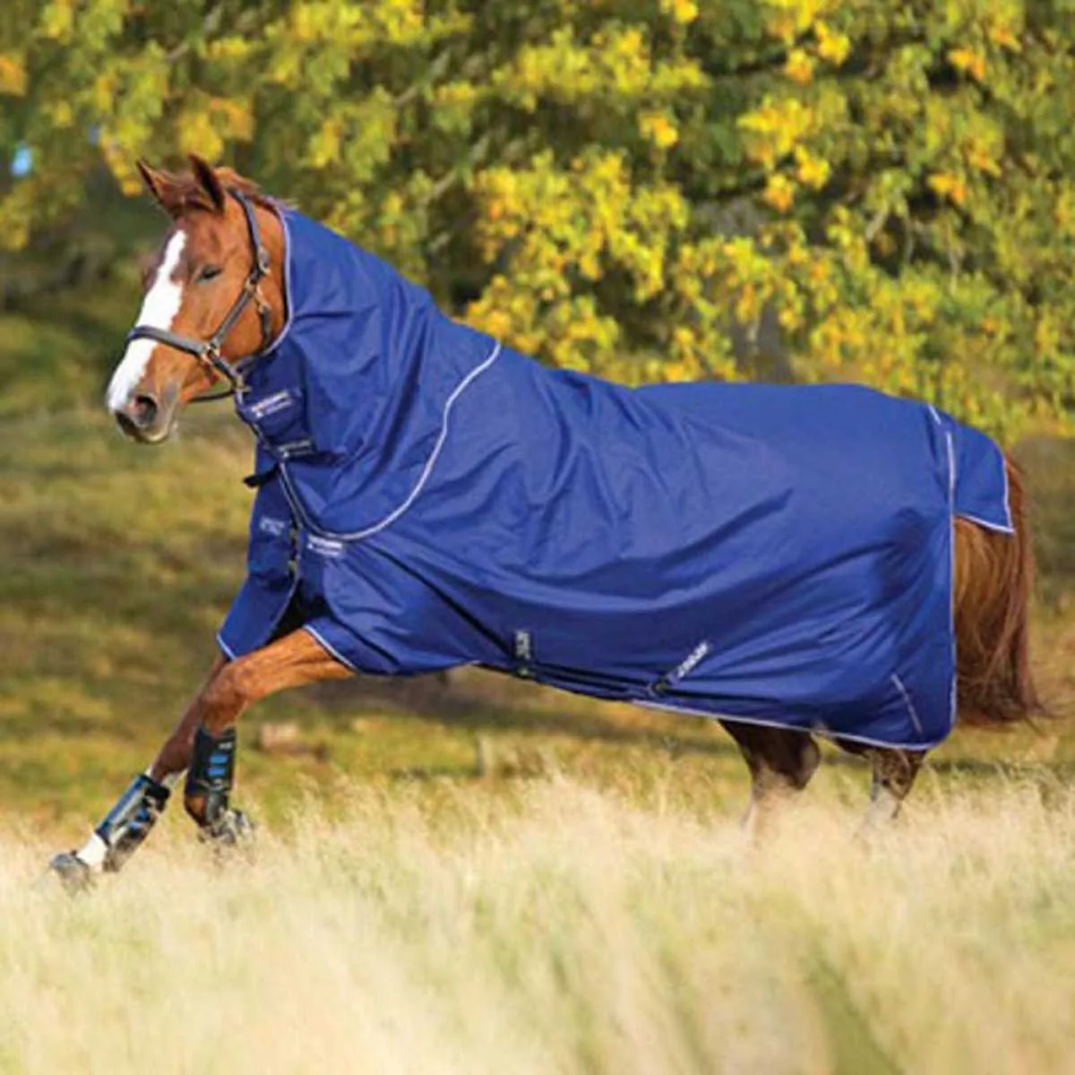 Amigo Hero 900 Plus Lite turnout blanket