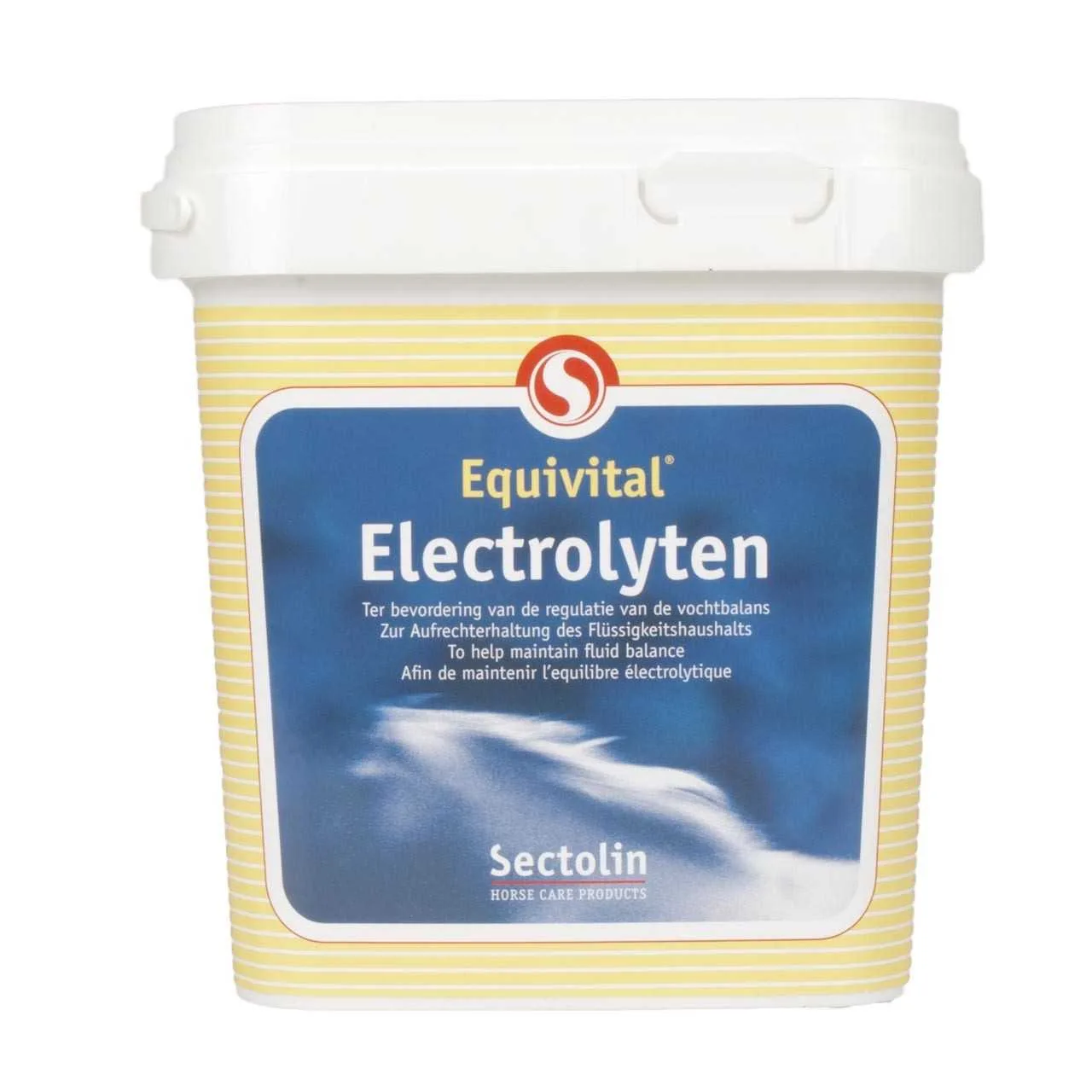 Sectolin Equivital Electrolytes