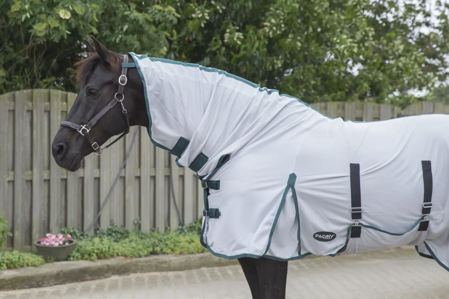 Pagony Big Neck fly cooler plus
