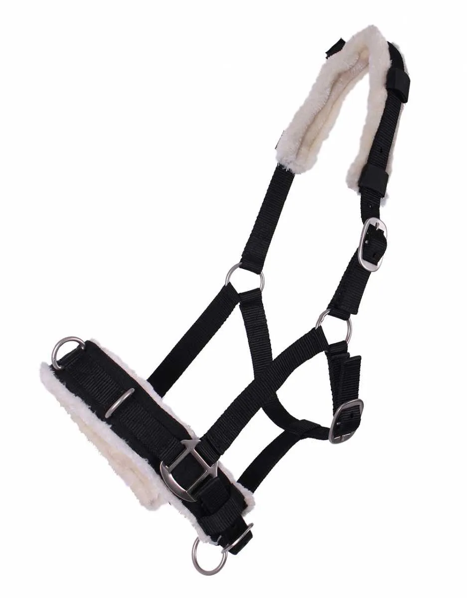 QHP Bridle