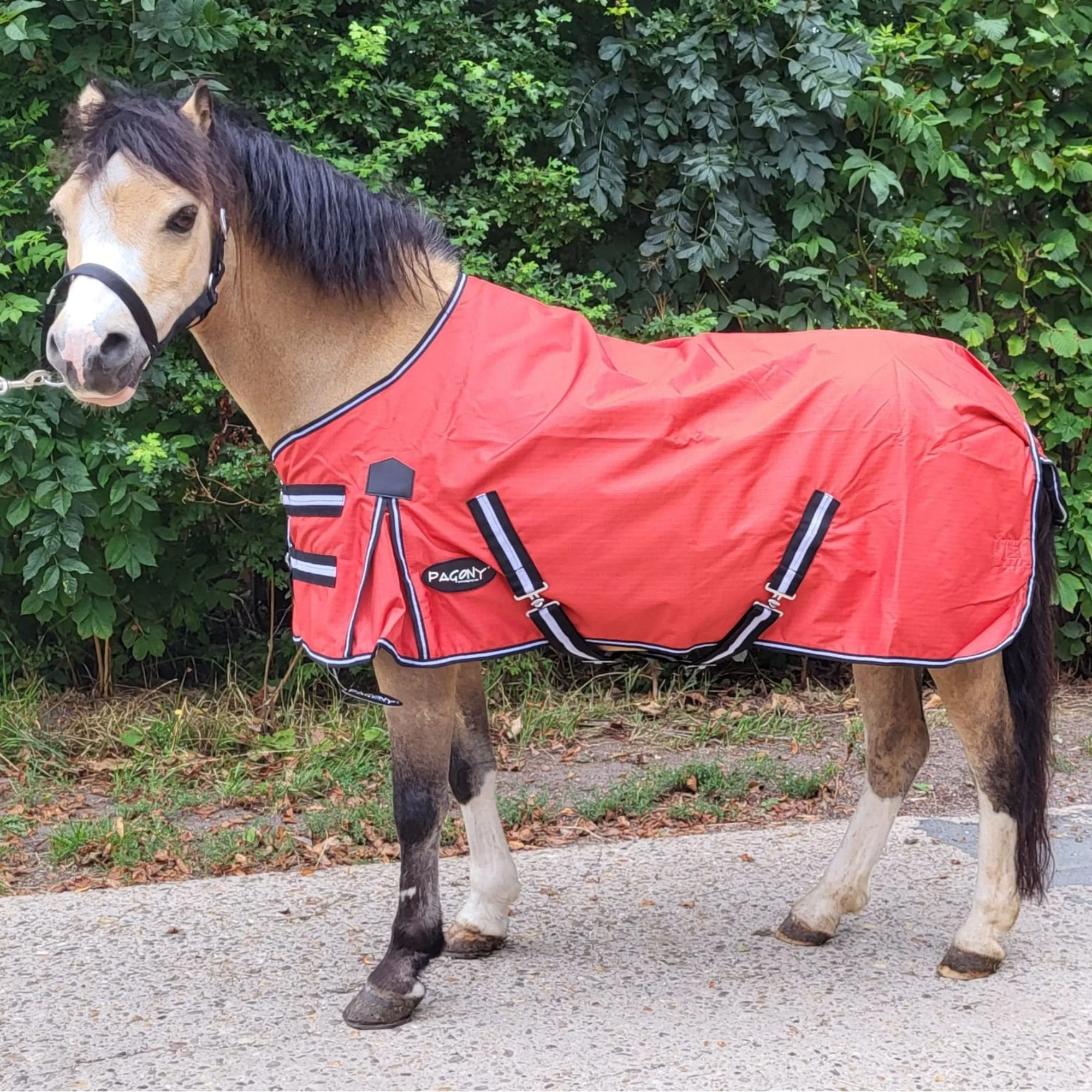 Pagony Pony Turnout 0gr