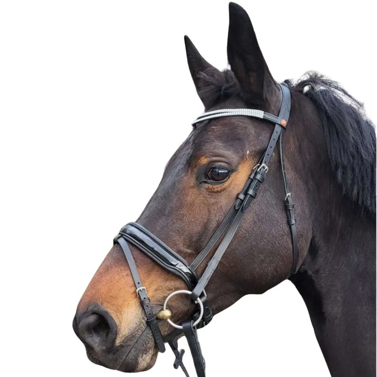 Rossner Versailles II bridle
