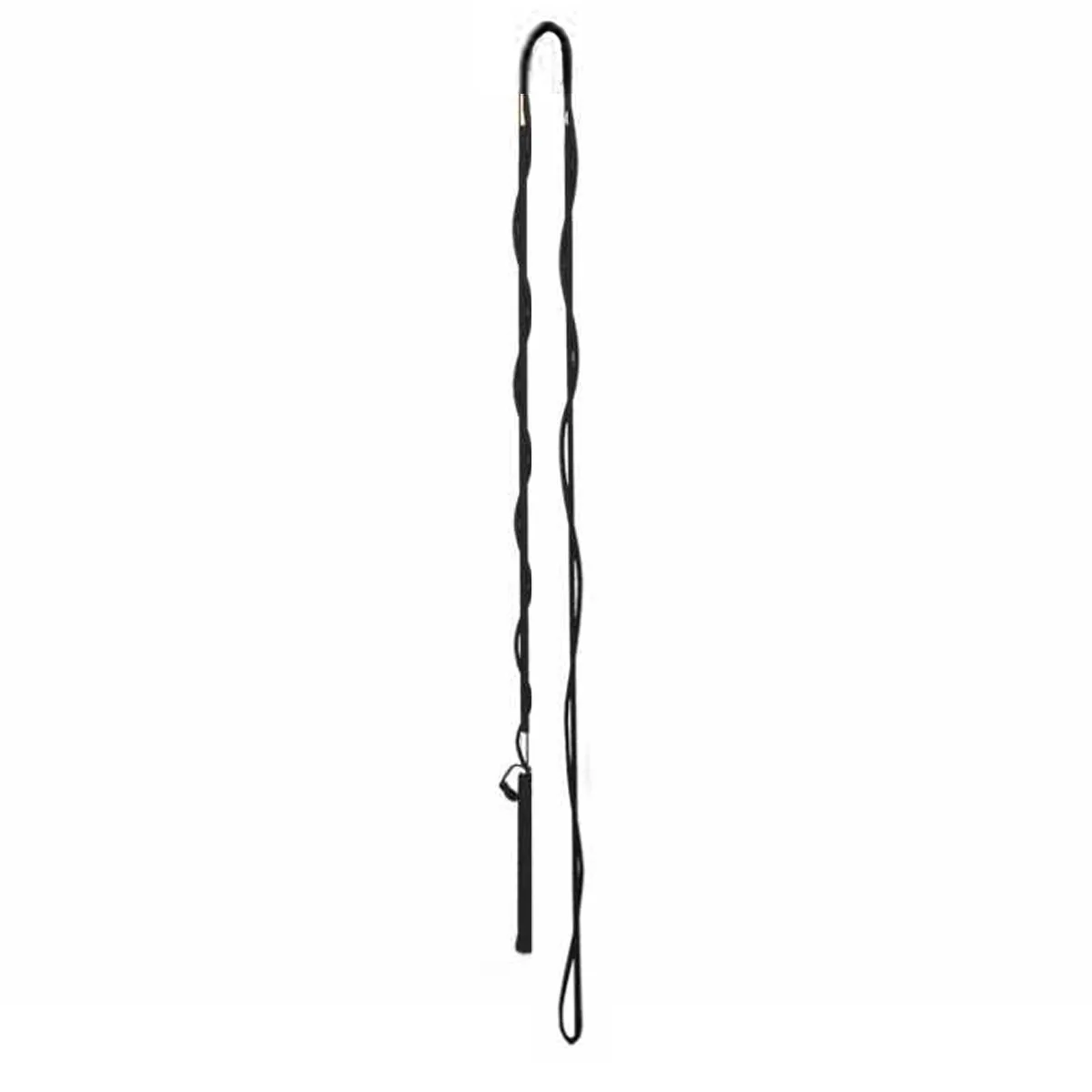 Pagony divisible lunge whip