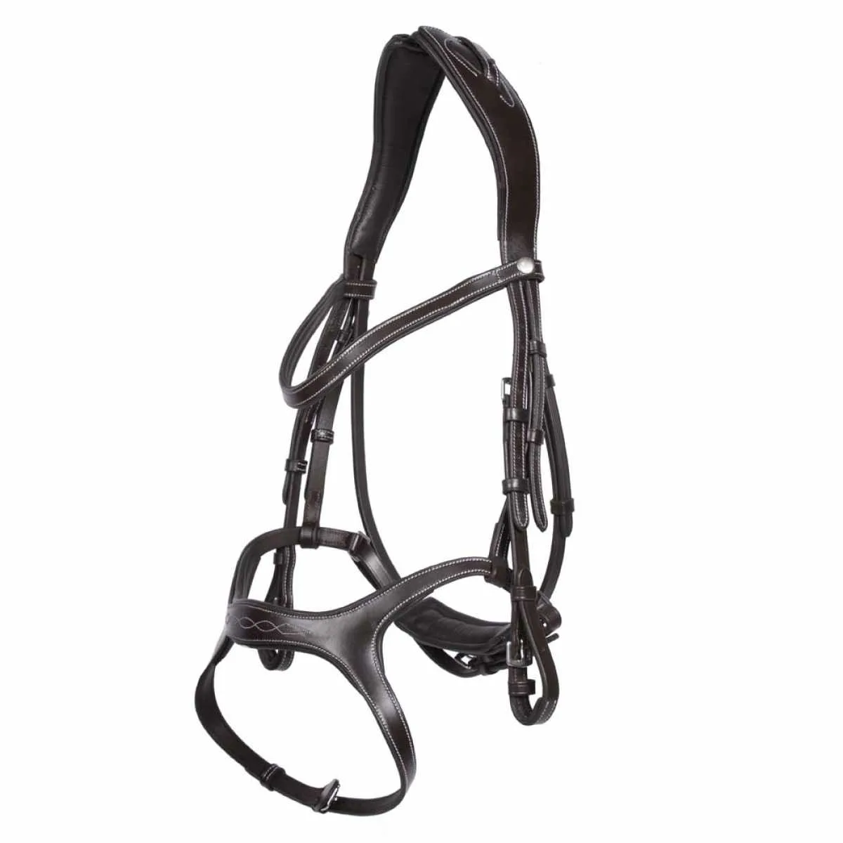 Arturo Arona anatomical bridle