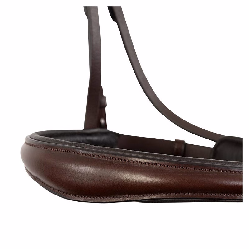 BR bridle Credition