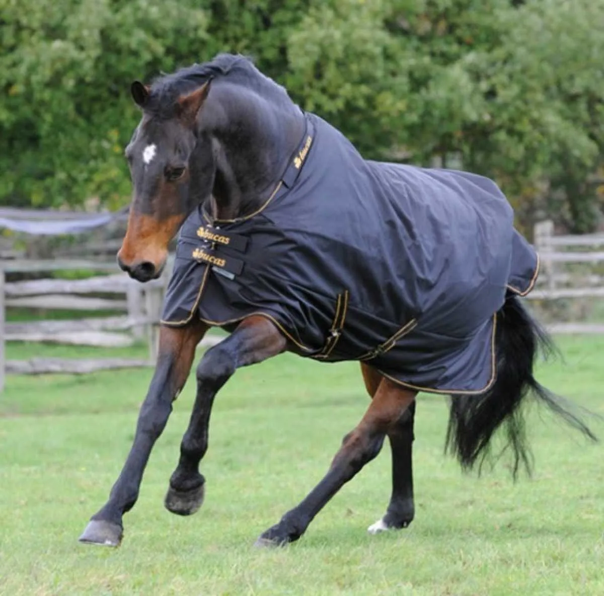 Bucas Irish Turnout Blanket 50