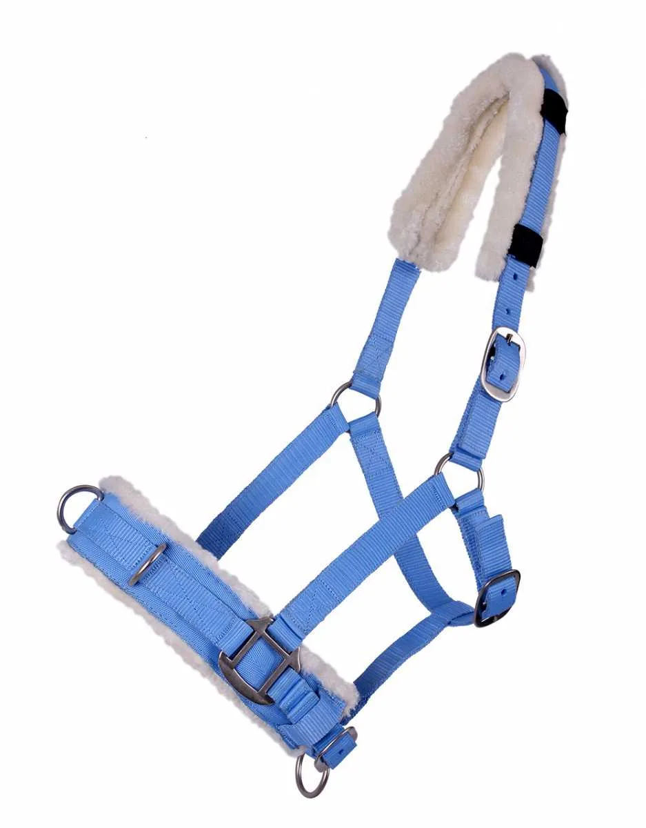QHP Bridle