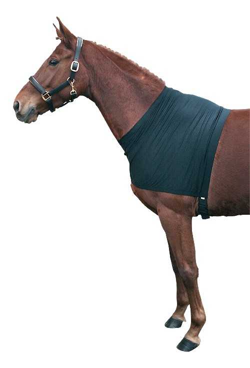 Pagony lycra chest protector