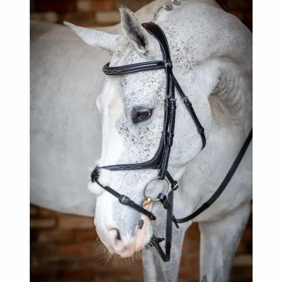 LeMieux Grackle Bridle