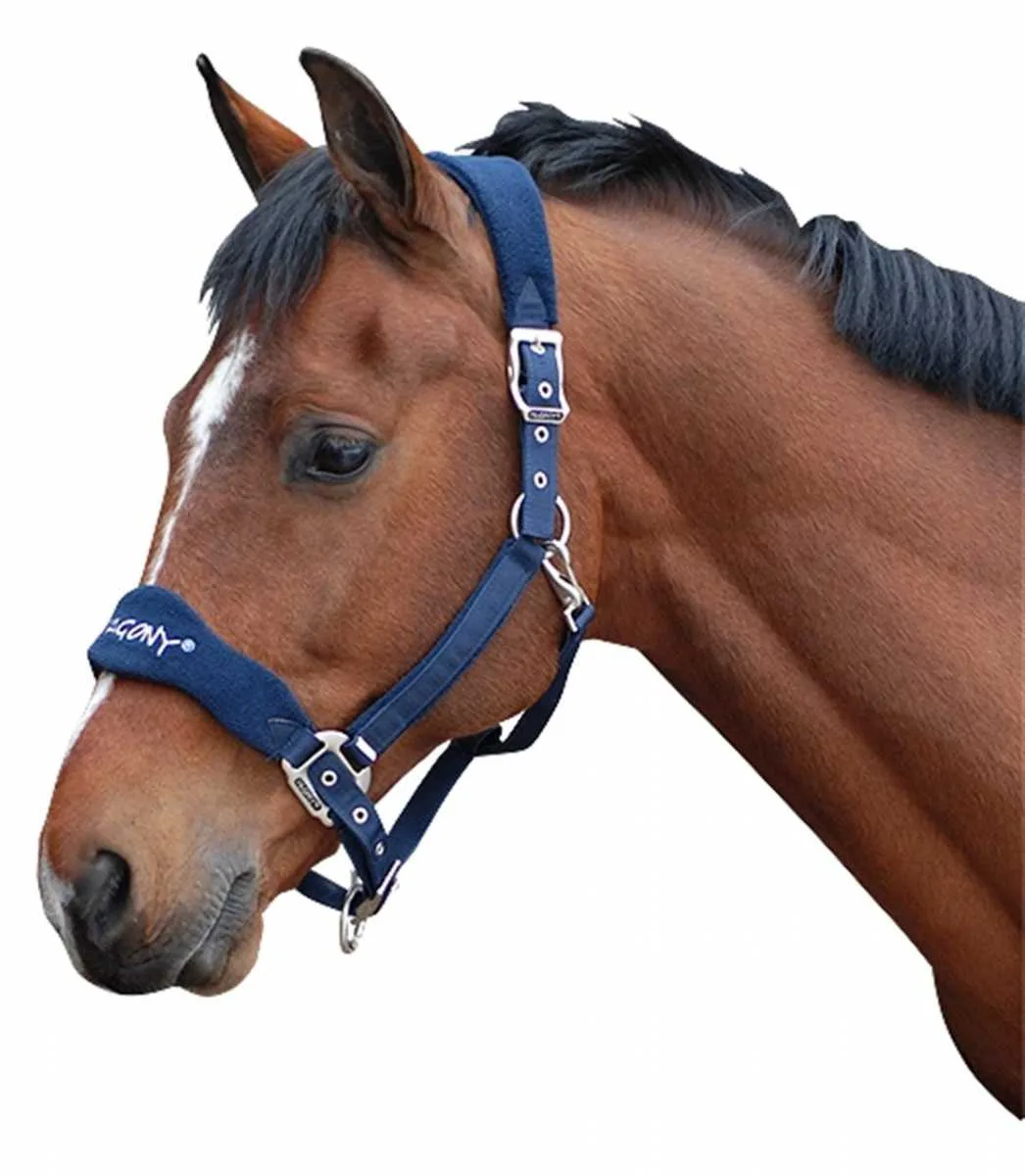 Pagony halter Reno