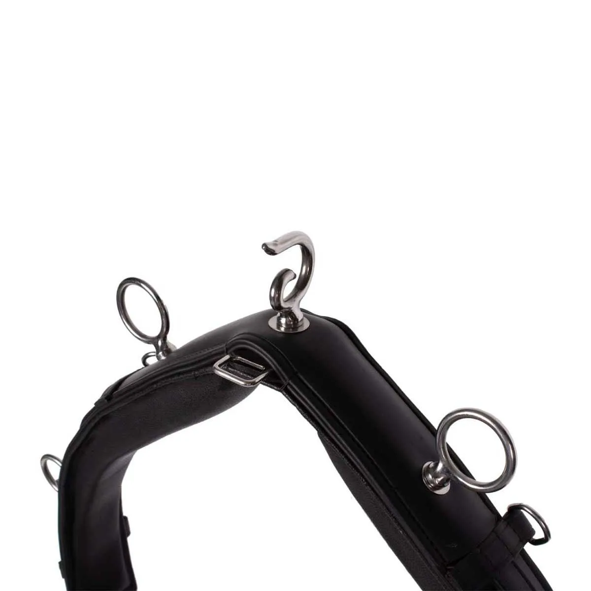 Pagony Profi Lunging Girth