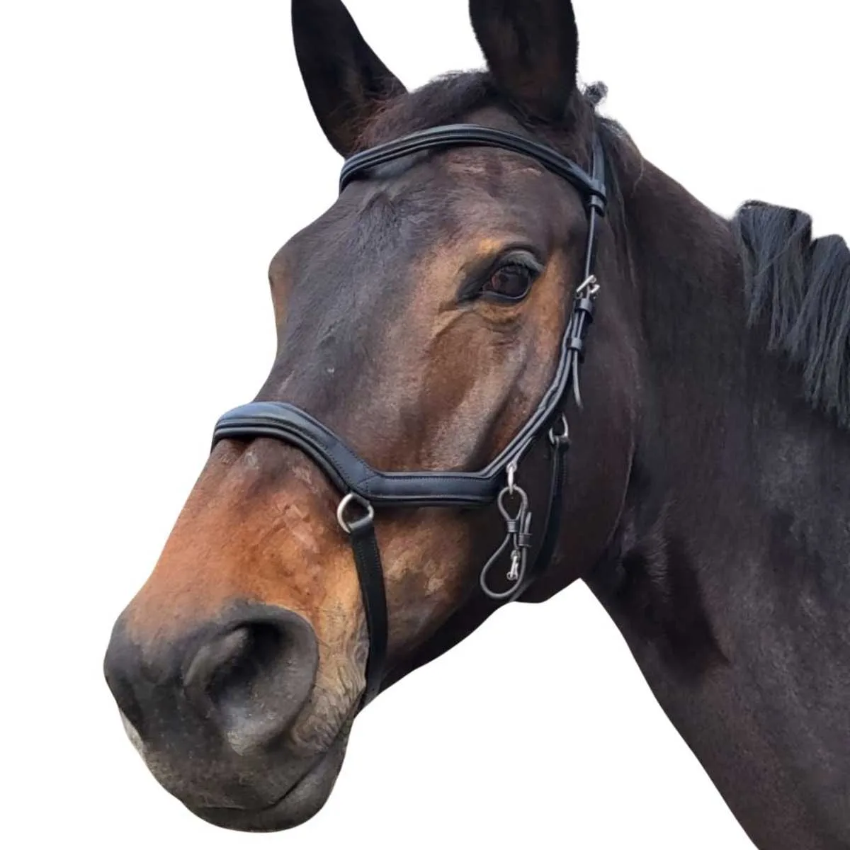 Rossner Freedom Bridle