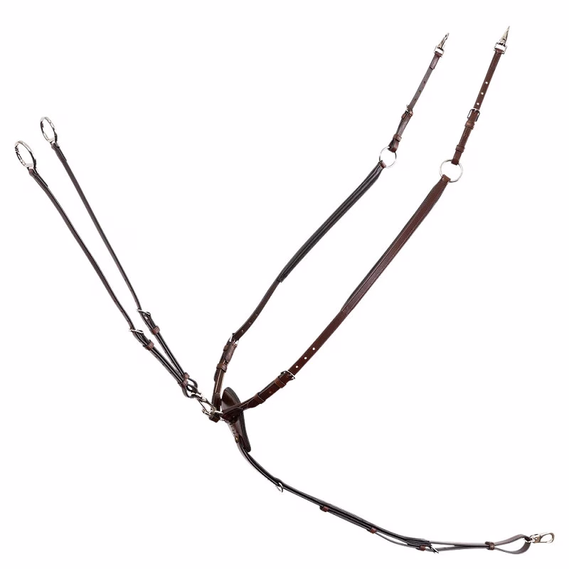 BR harness Corsham Oak