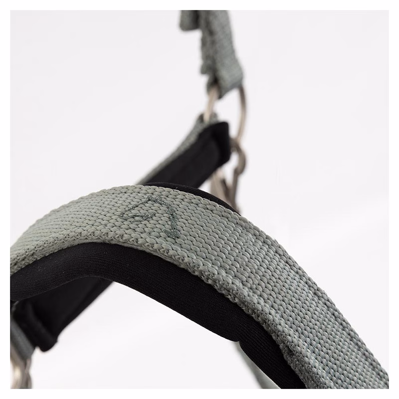 BR Eevolv Halter Idylle