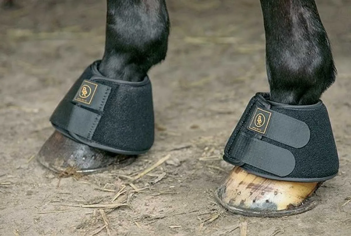 BR Jumpingboot pro-hoof