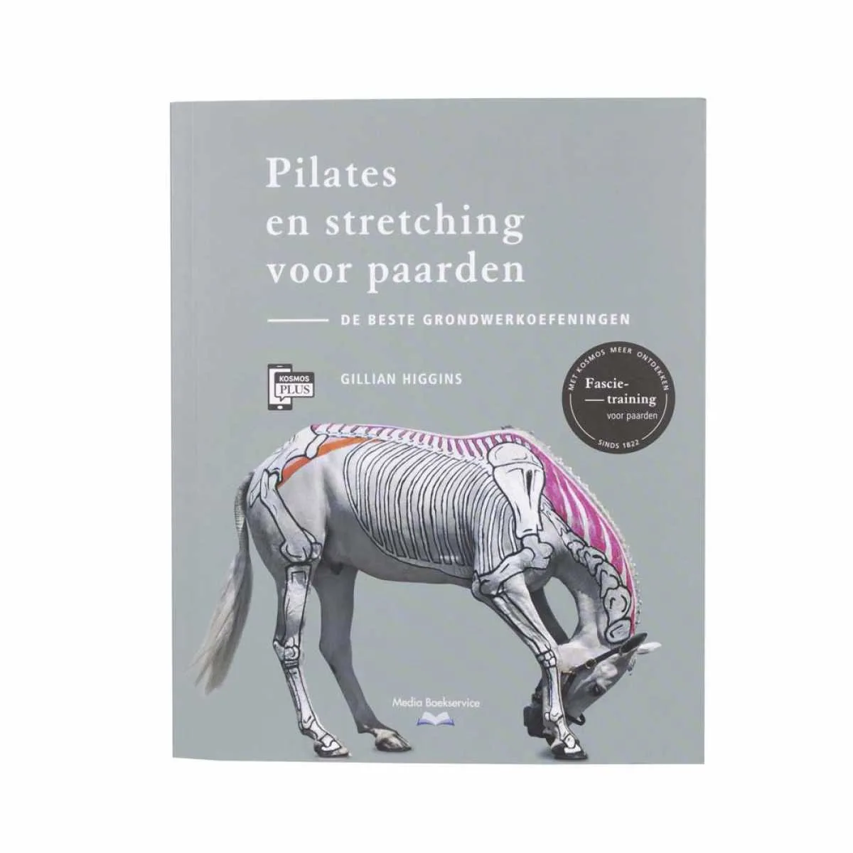 Pilates and stretching for horses