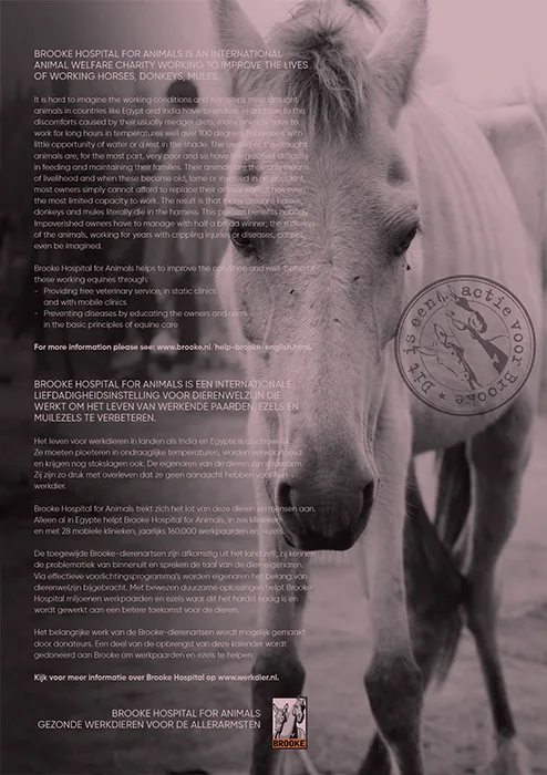 Horse and Hunk calendar 2026