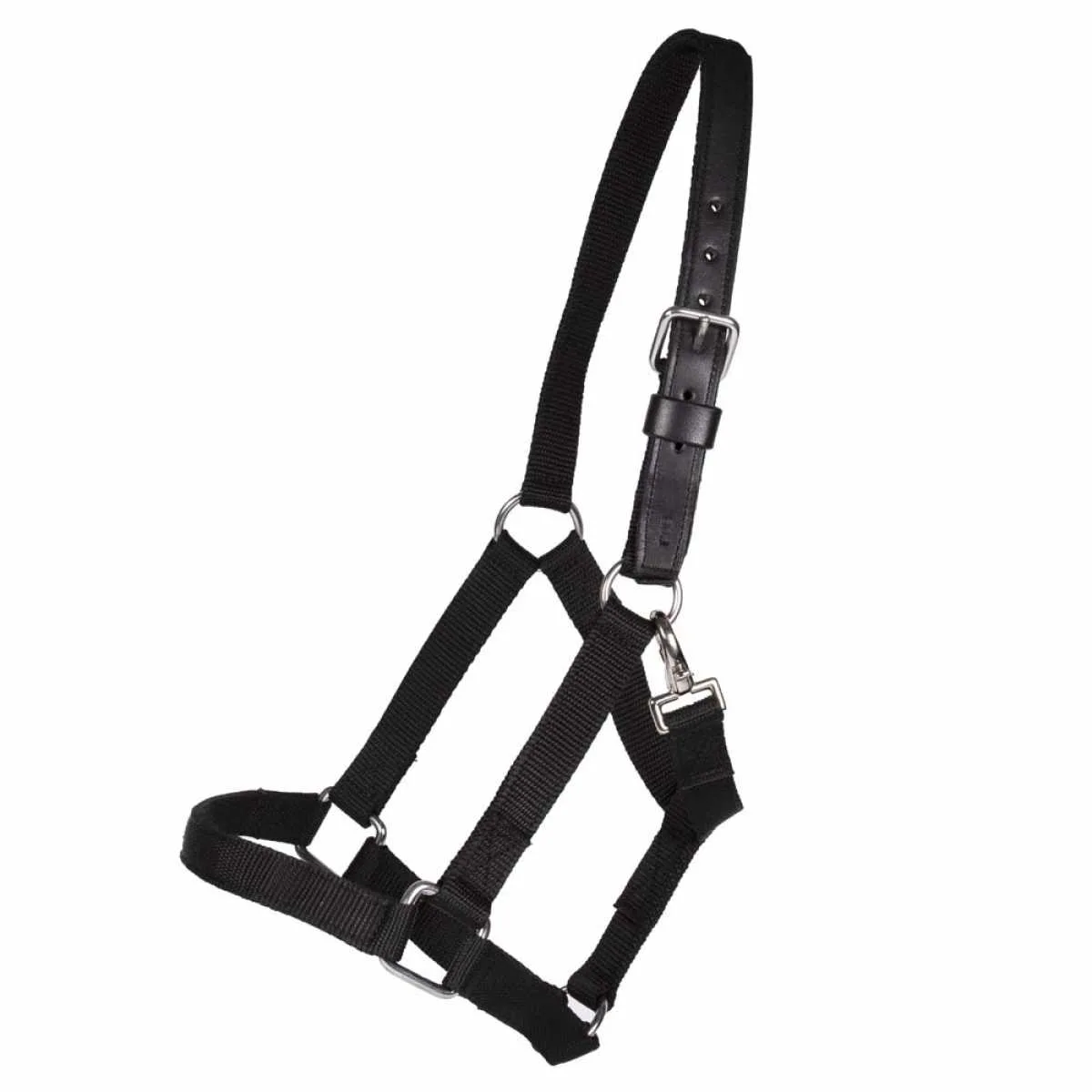 Pagony Extra strong halter