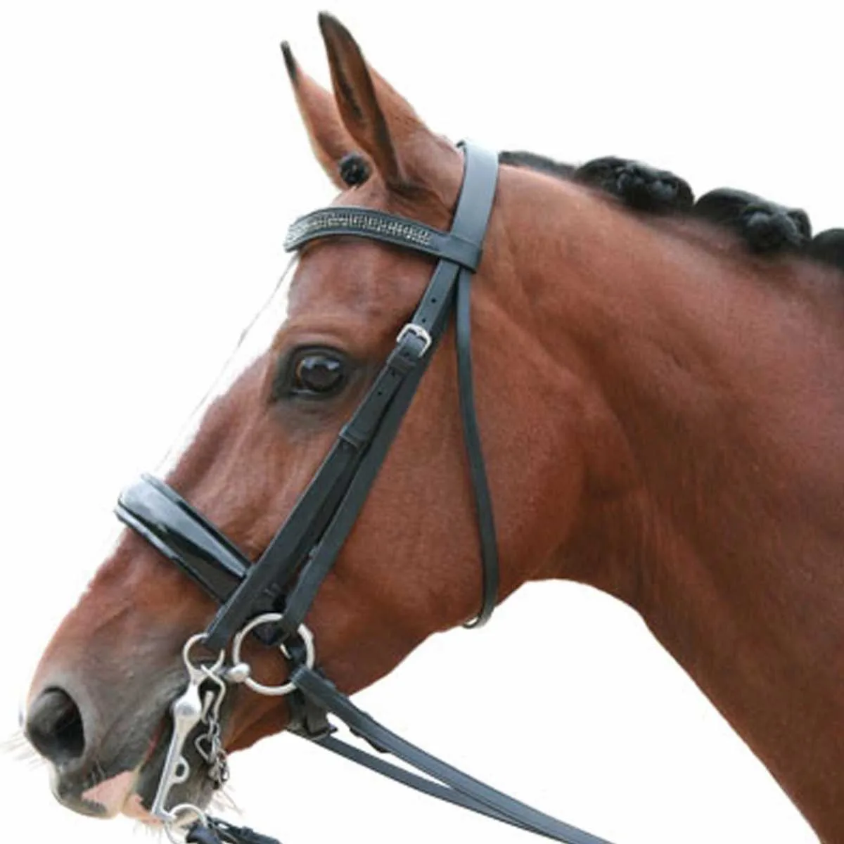 Rossner Lacquer Bridle & Snaffle