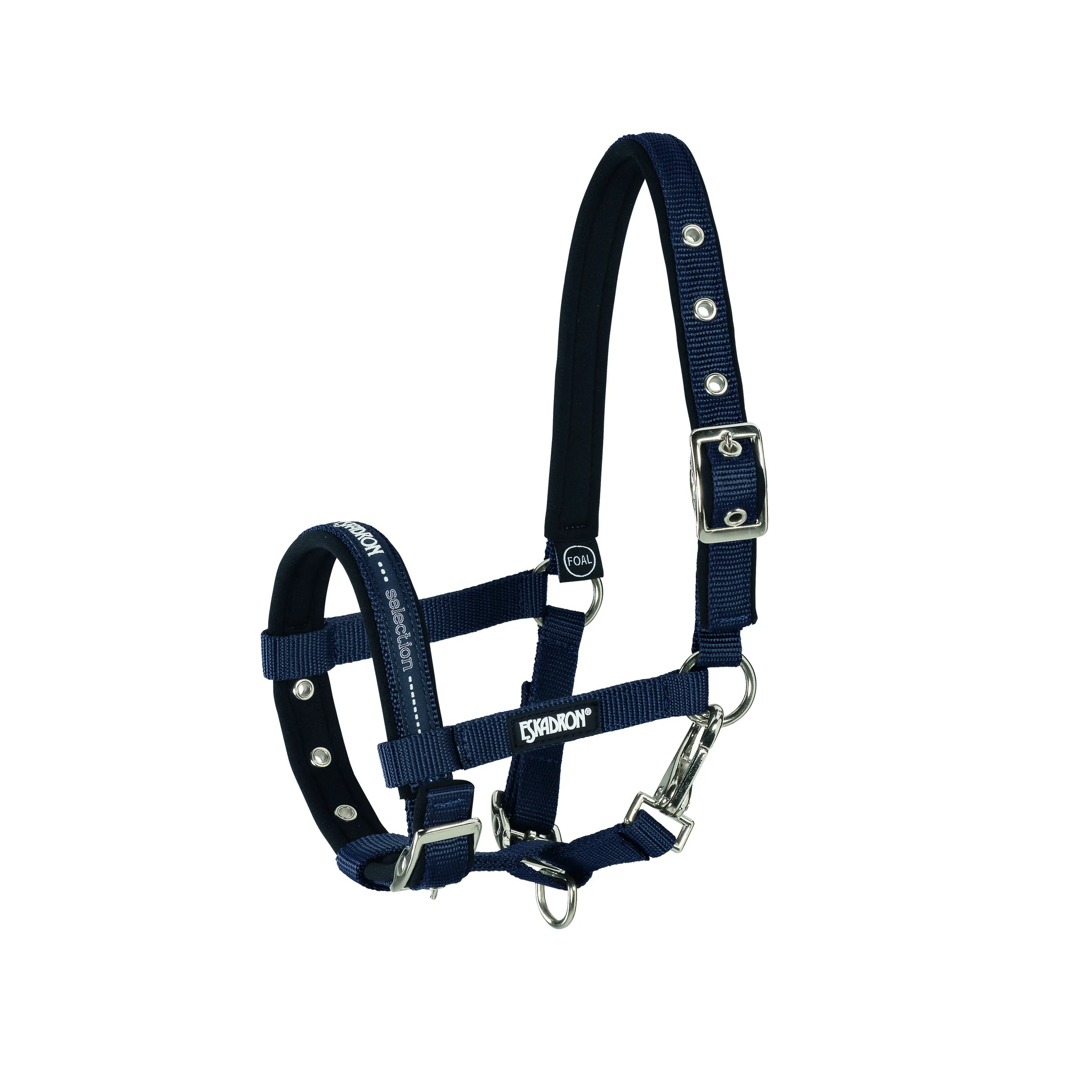 Squadron Foal Halter