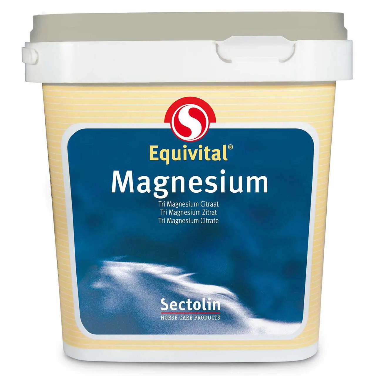 Sectolin Equitvital Magnesium Citrate