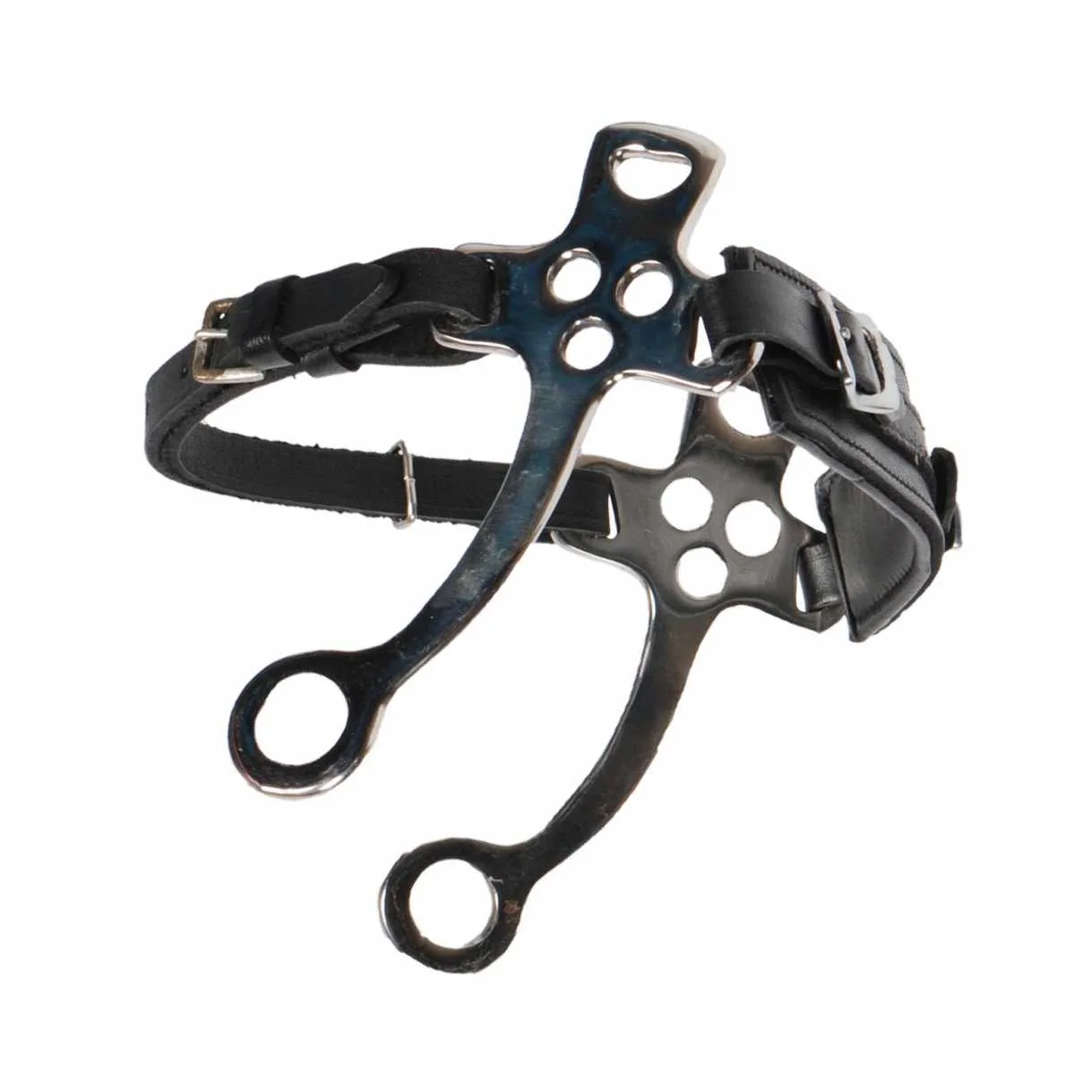 Pagony Hackamore