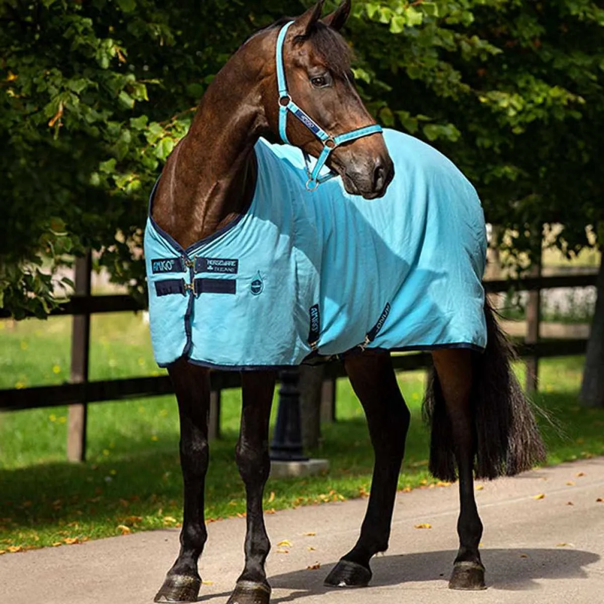 Amigo Stable summer blanket