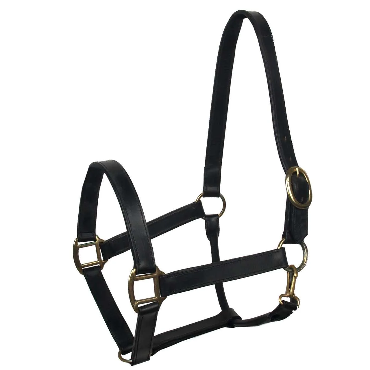 Baseline leather halter