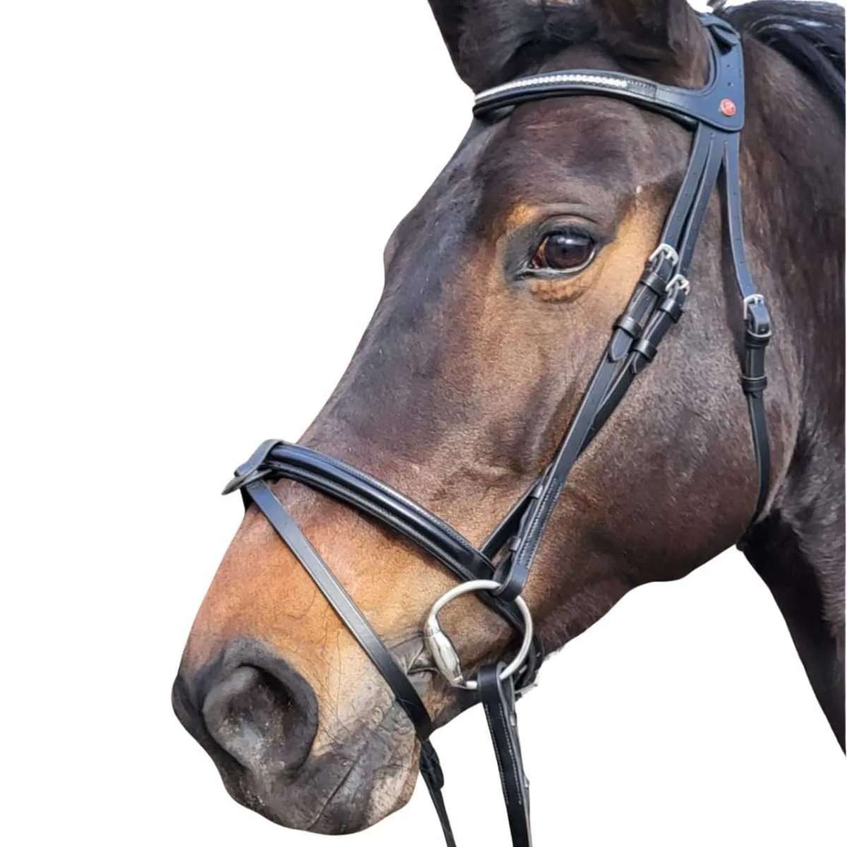 Rossner Ferrara bridle