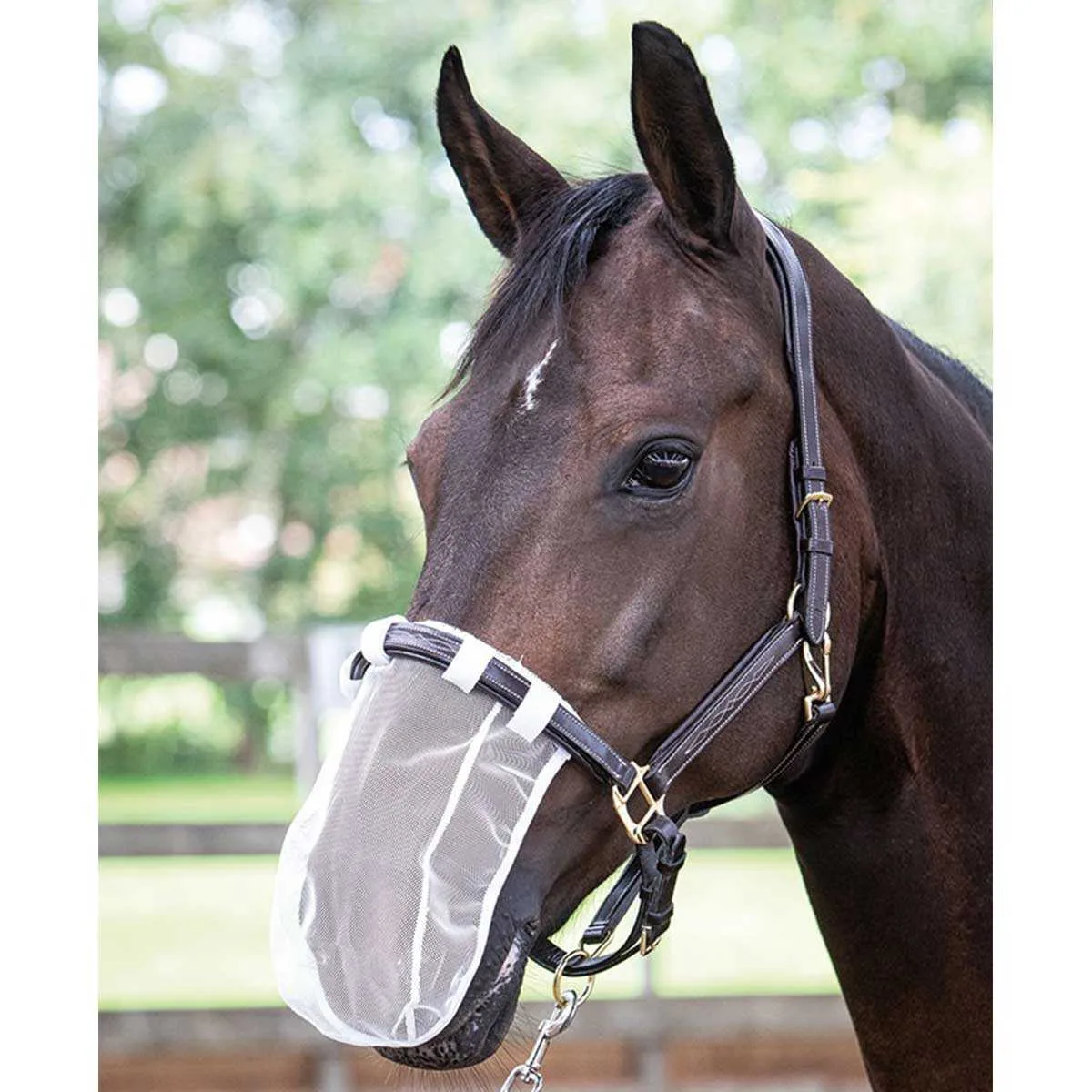 Harrys Horse nose/pollen net