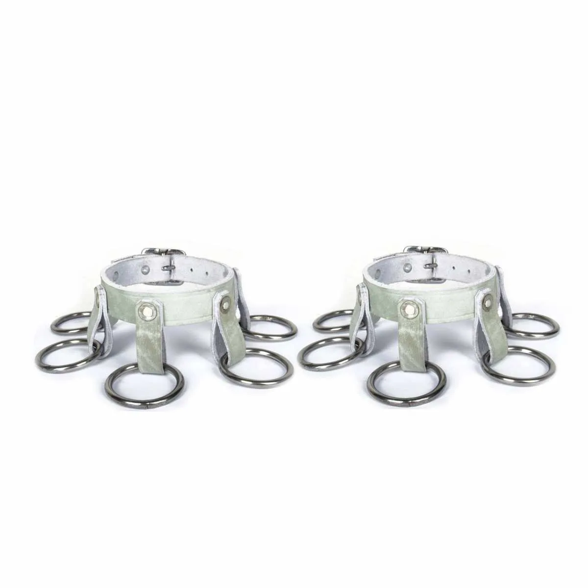Leg/training rings
