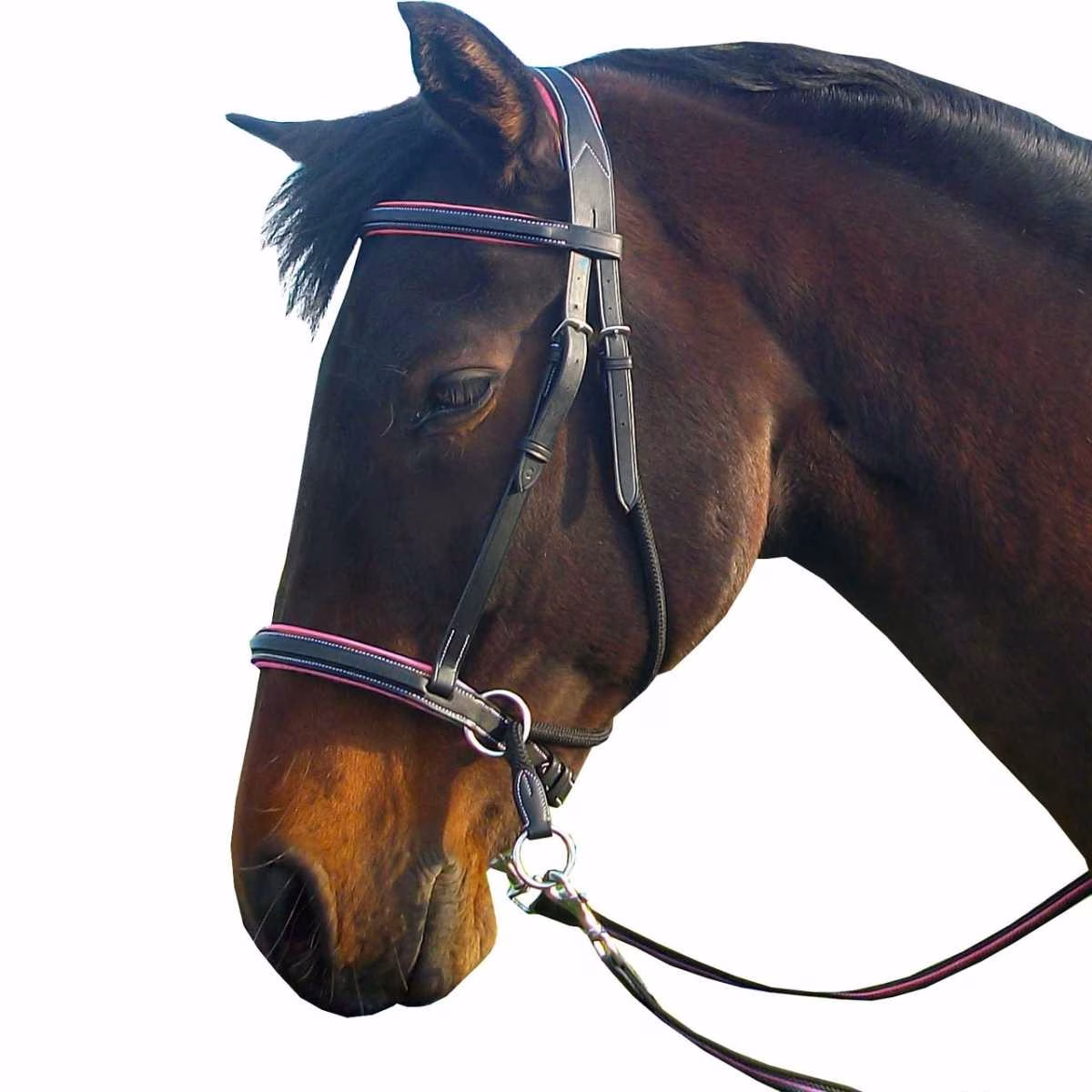 FRA Dietsji bitless bridle