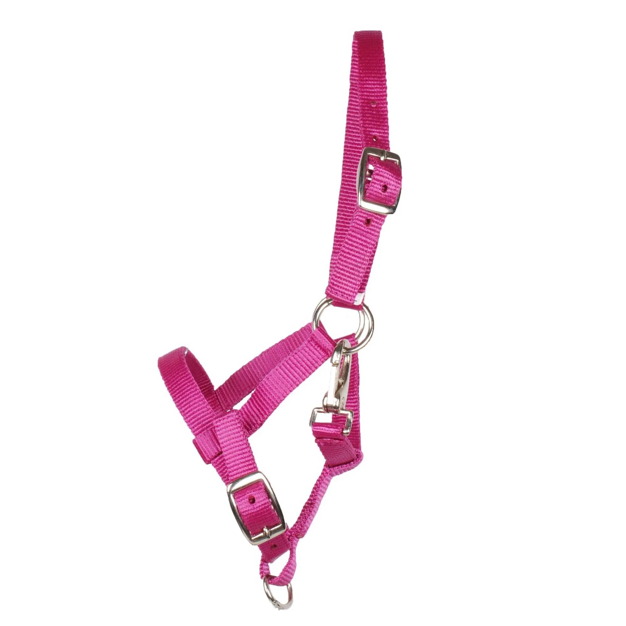 Pagony Happy foal halter
