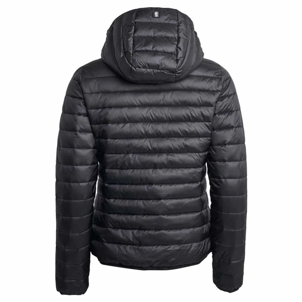 Kingsland Classic Padded jacket