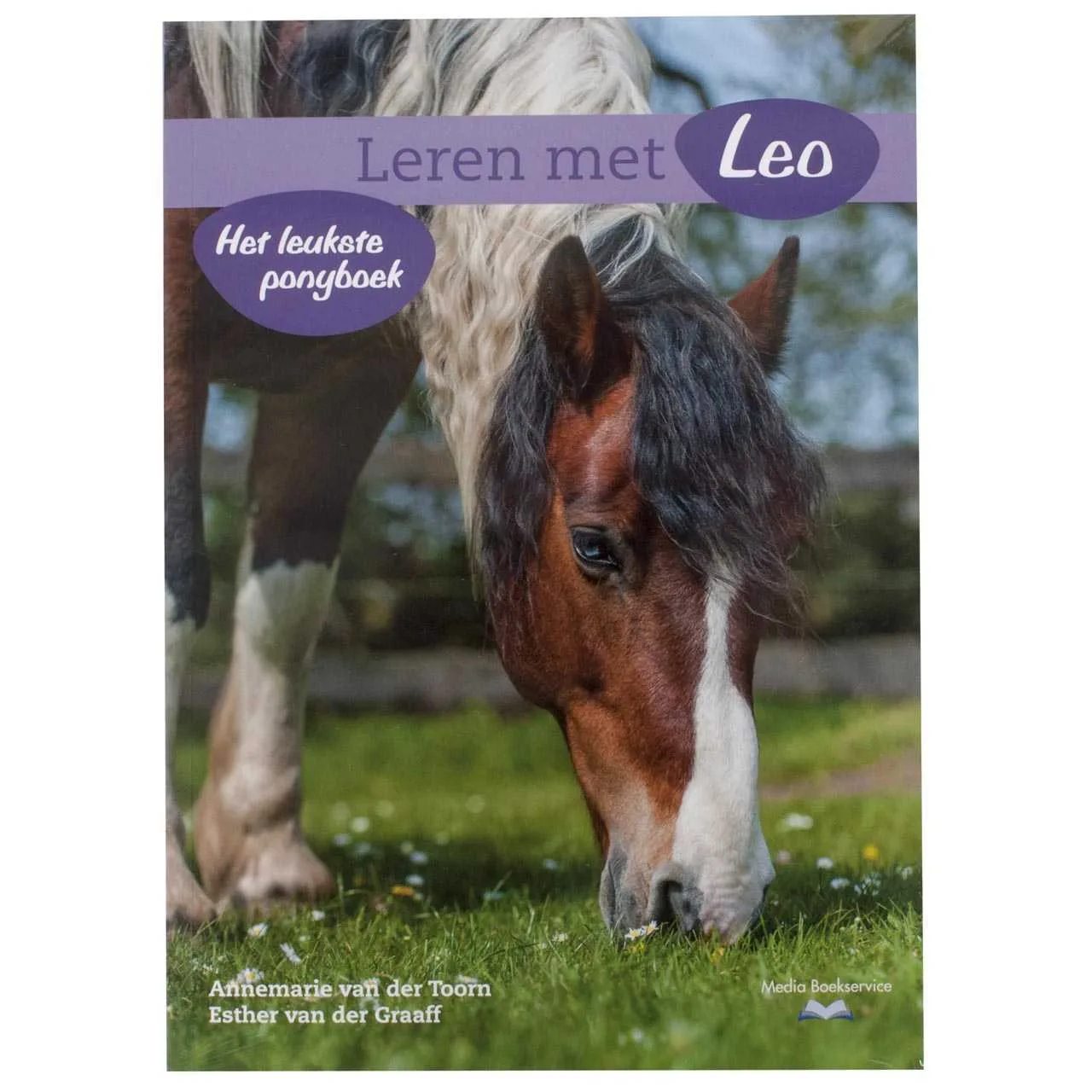 Learning with Leo