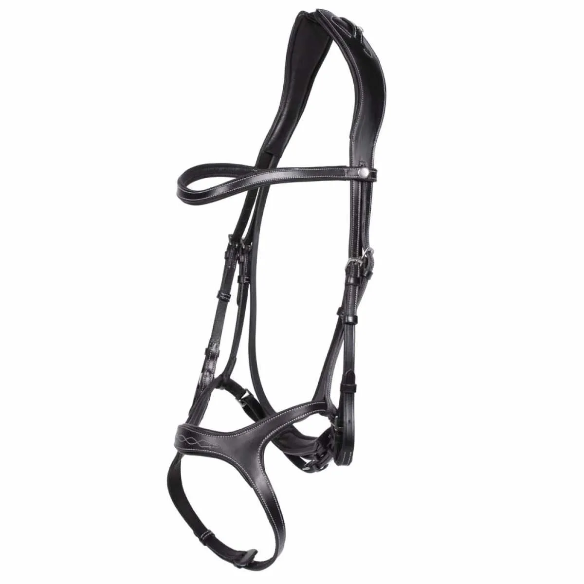 Arturo Arona anatomical bridle