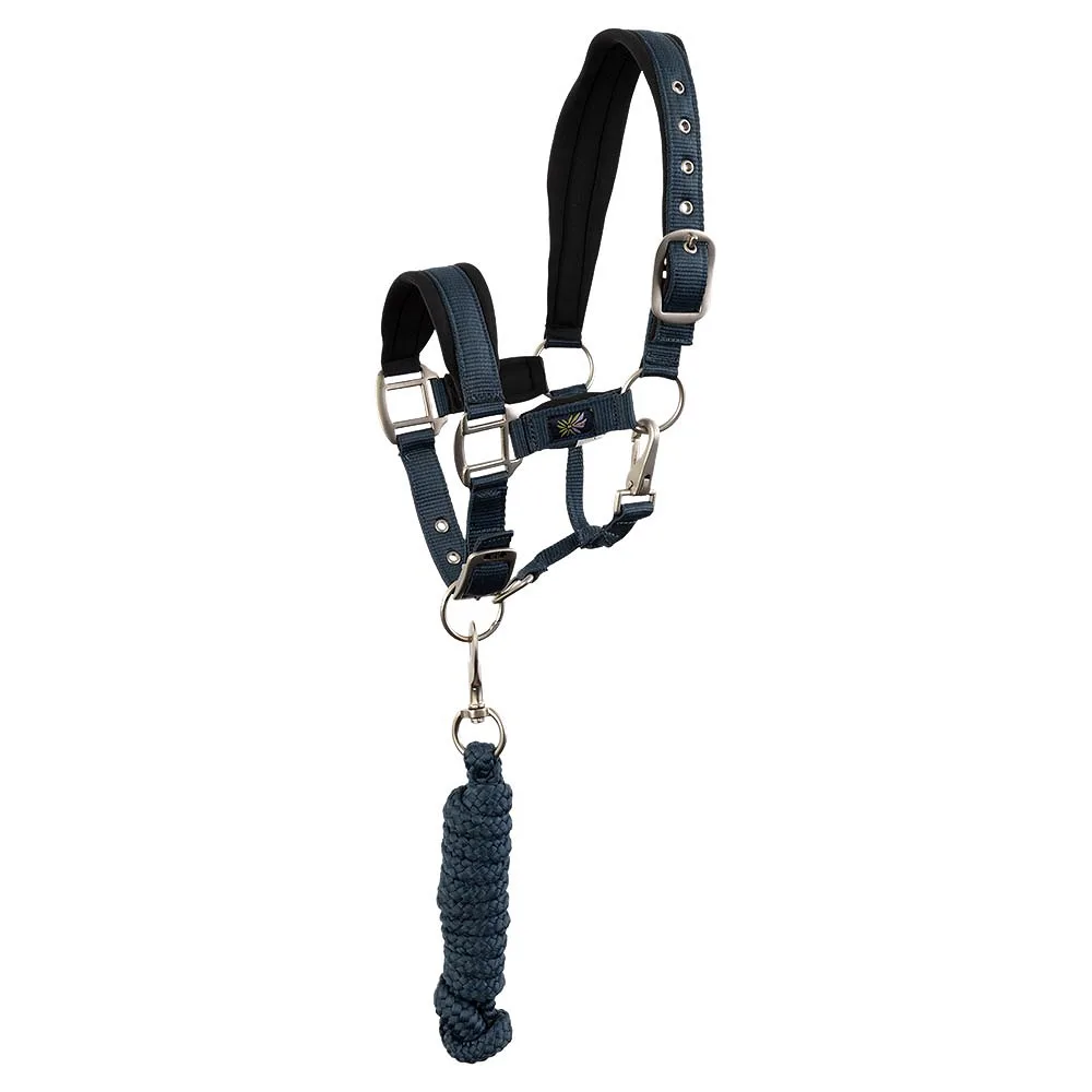 BR Mini Horse Halter Set