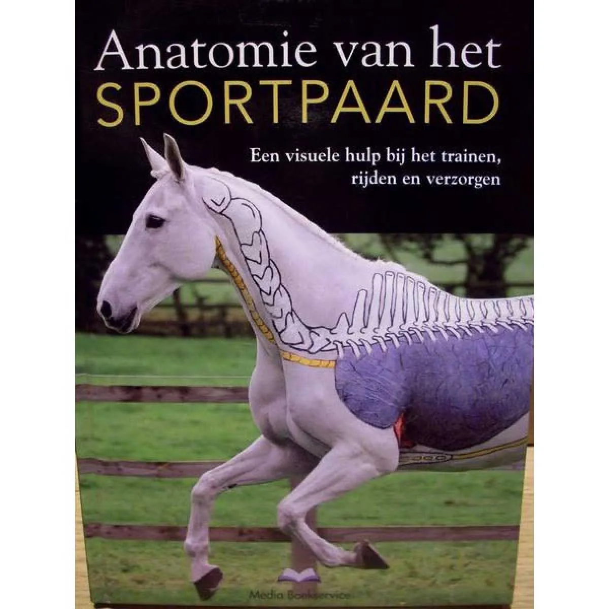 Anatomy of the sport horse