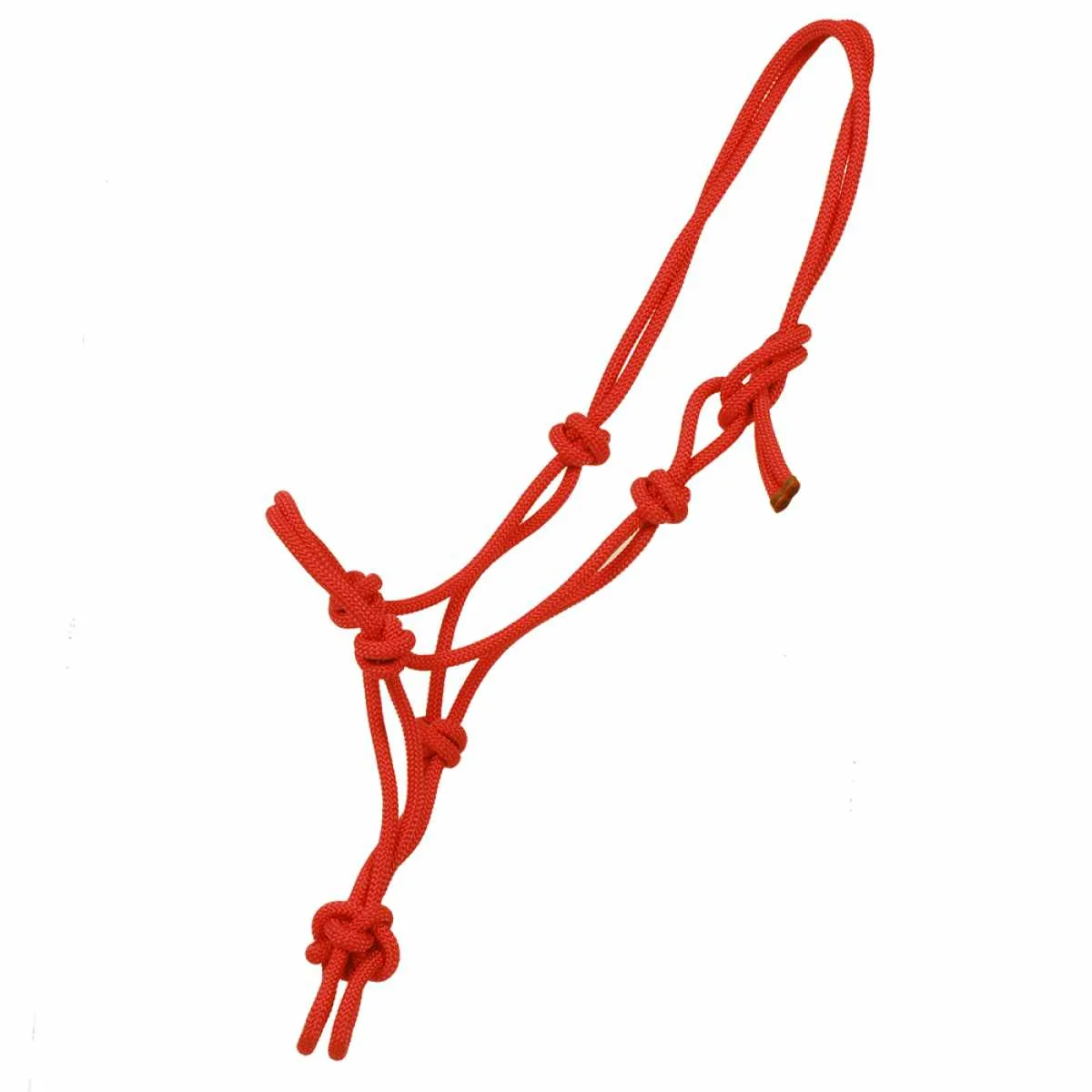 Pagony Basic rope halter