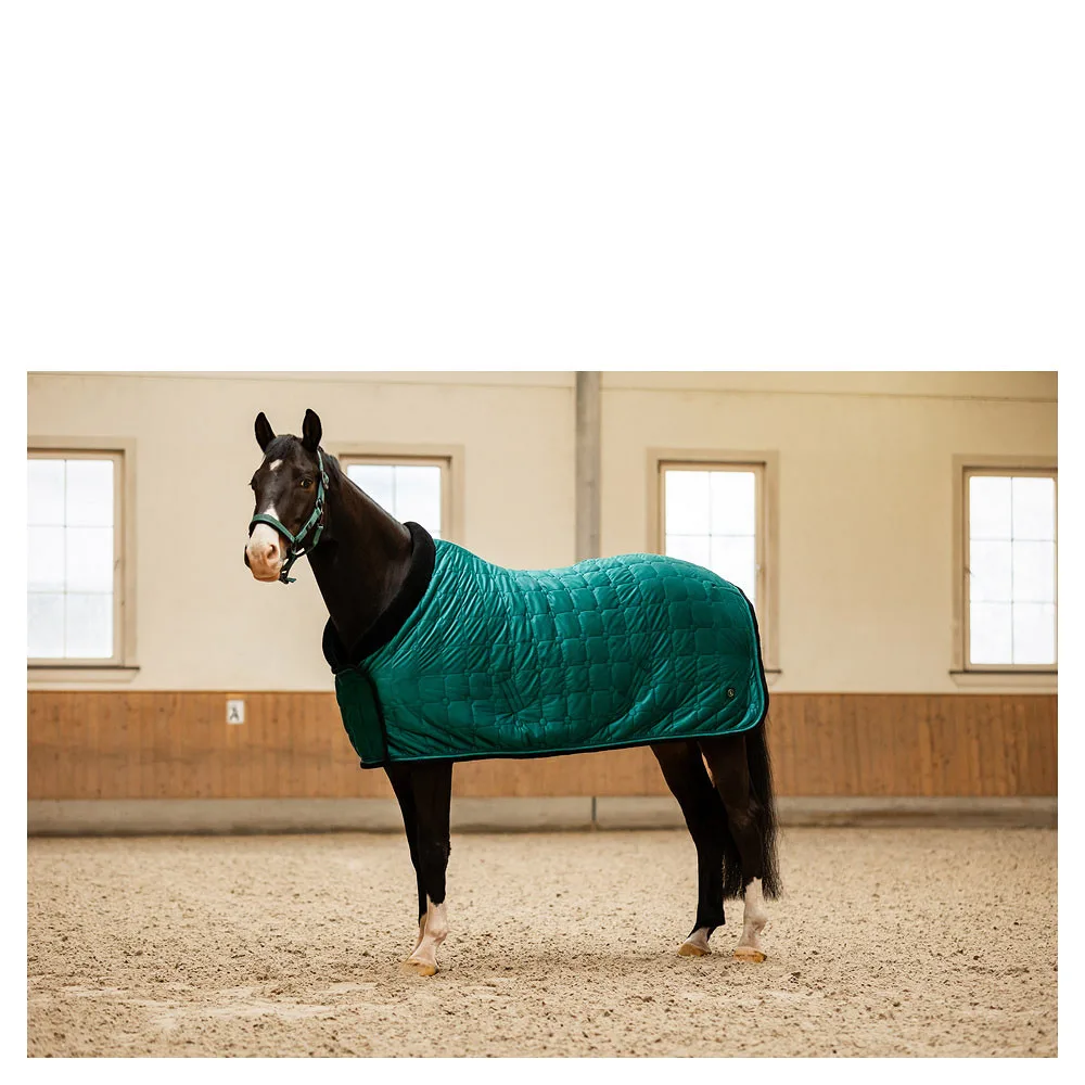 BR CLX show blanket